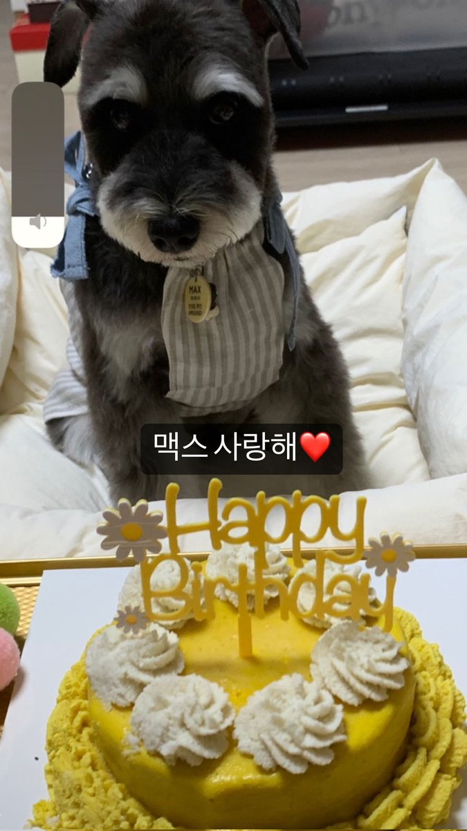 JihoonBrasil's tweet photo. [#HOONSTAGRAM] 01.08.23 - Atualização de Jihoon no Story 
 
Eu te amo Max ❤ 

🥳 https://t.co/3HrdVW3RTr

#ParkJihoon #박지훈 @Park_Jihoon_twt https://t.co/IfdXOlPlbt