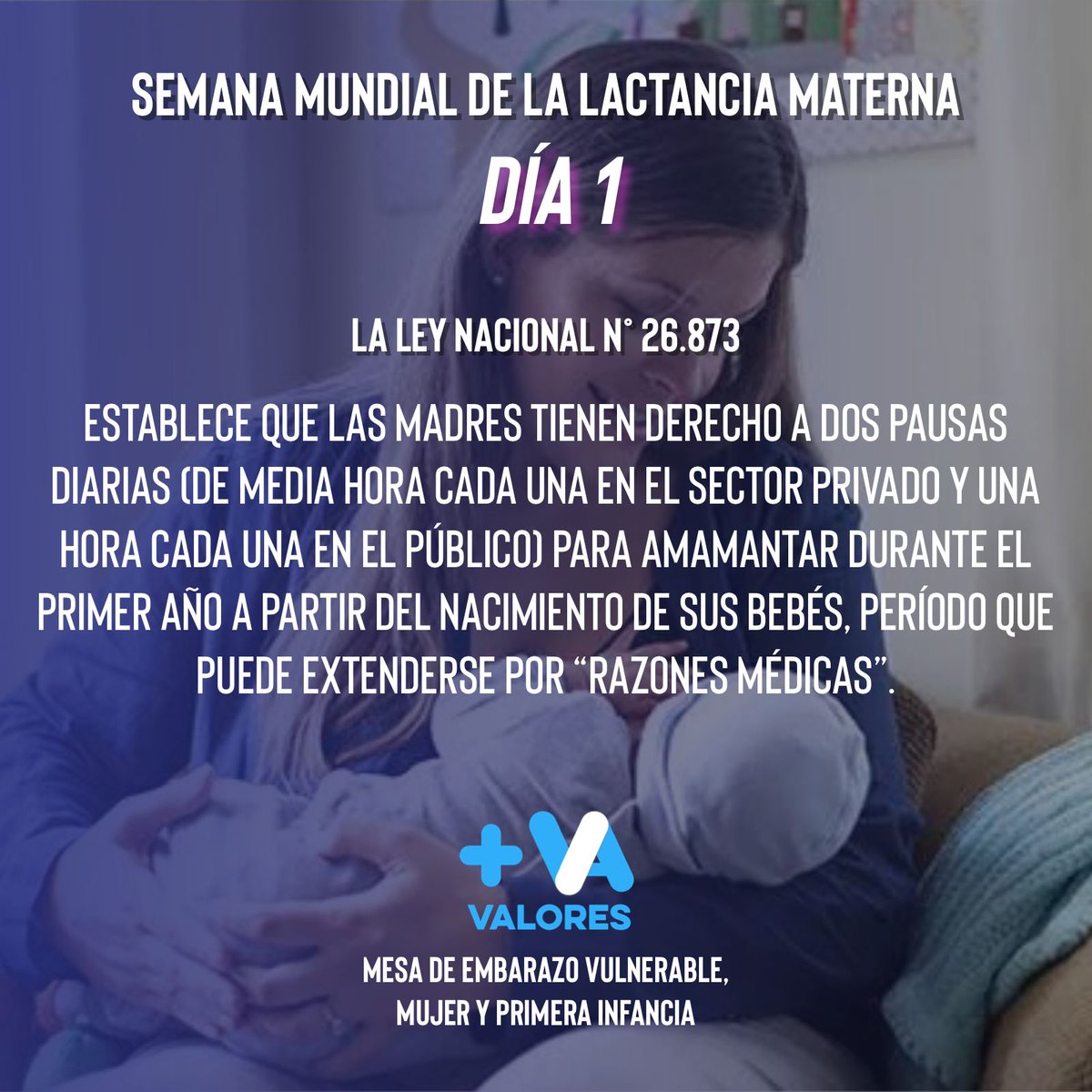 cosechamartucci's tweet photo. https://t.co/mgoY01ktwK