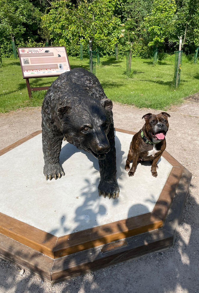 HeadleyNature's tweet photo. We love seeing pictures of our local pooches enjoying the #NatureReserve! 🐕🦺
#EveryoneWelcome #DogsWelcome #NatureWalks #NatureReserves #DogsOfInstagram #100DaysOfWalking #SummerIsComing #LocalCommunity #Community #HeadleyDownNatureReserve #Bordon #Hampshire #EnjoyOutside https://t.co/zRlo2HKpS2