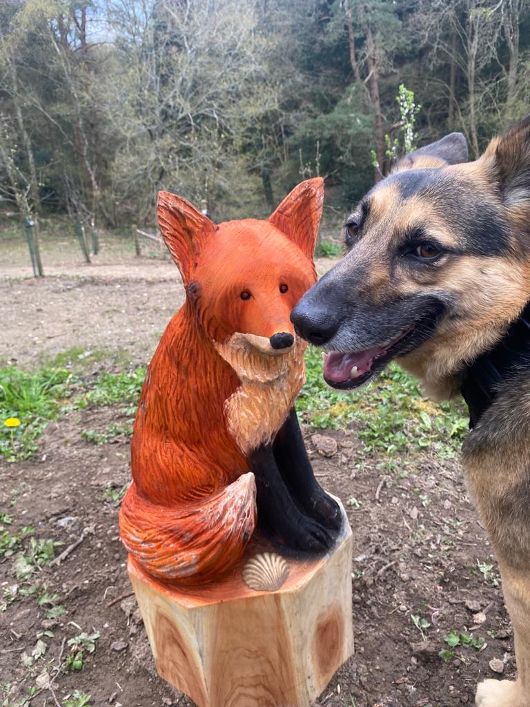 HeadleyNature's tweet photo. We love seeing pictures of our local pooches enjoying the #NatureReserve! 🐕🦺
#EveryoneWelcome #DogsWelcome #NatureWalks #NatureReserves #DogsOfInstagram #100DaysOfWalking #SummerIsComing #LocalCommunity #Community #HeadleyDownNatureReserve #Bordon #Hampshire #EnjoyOutside https://t.co/zRlo2HKpS2