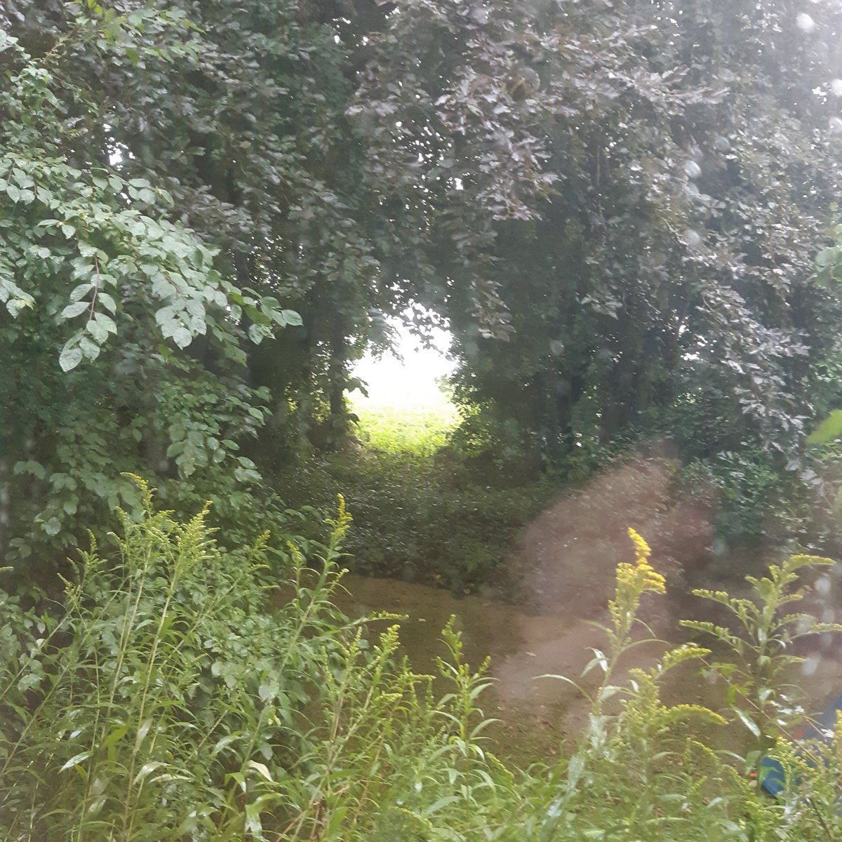 Vertrouwen is dikwijls goed ... er is morgen weer licht ...
Vertrouwen sprankelendefontein.blogspot.com/2023/08/vertro…

#vertrouwen  #dedagislangerdanvandaag #dewaard #verrassing #persoonlijkepoëzie #vrijepoëzie #licht #weer
Foto: Helma Ketelaar