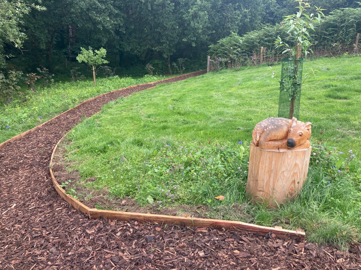 HeadleyNature's tweet photo. Take a look at the new path that will take you past Healing Hill, the latest addition to the #NatureReserve. We hope you enjoy exploring! Huge thanks to Ian Dorans and the team for their hard work.

#Exploring #Woodland #WoodlandWalks #Walking #100DaysOfWalking #HeadleyDown https://t.co/FS9wOPmxuP