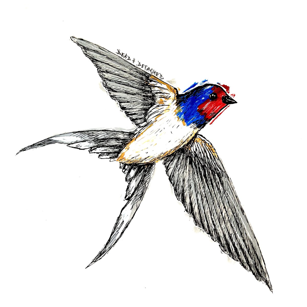 deadanddetached's tweet image. What kind of bird are you?