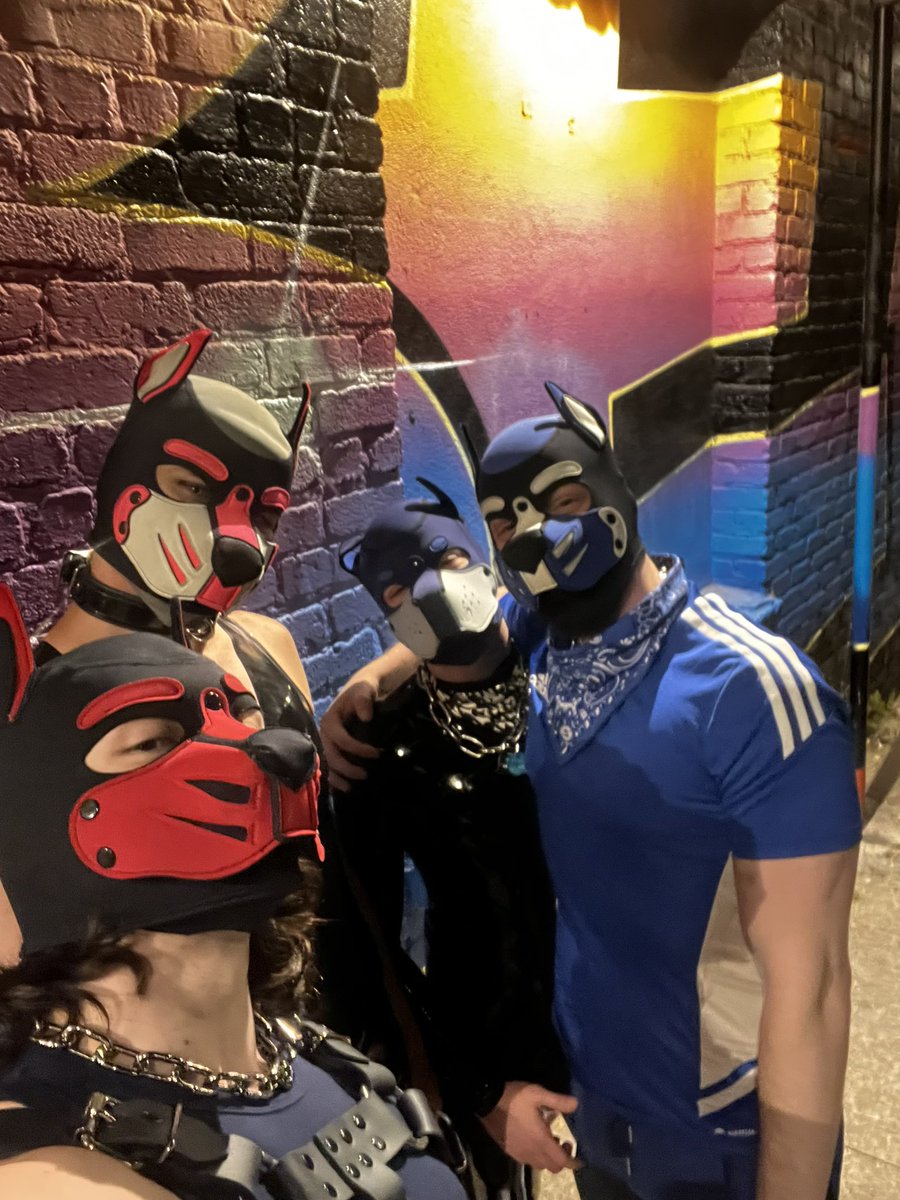 EikoPup's tweet photo. Love these dogs very much 🥰

Feeling very special to be able to experience my first event with them 🥹 thanks to each of you for being you ✨

🐾: @pupdagr @Pup_QuartzMn @PupCryo https://t.co/LzuisJnKZA