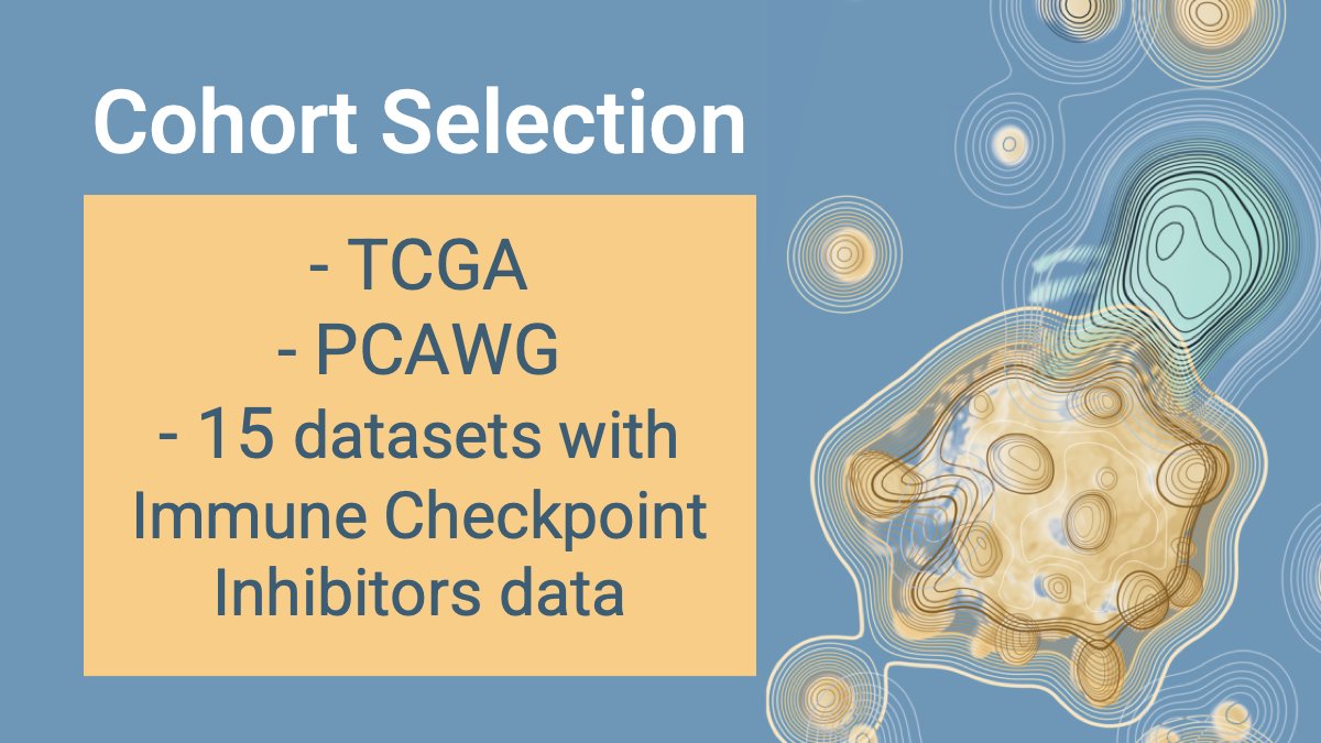 Our platform allows you to select a cohort: you select dataset(s) of interest, add filters, and select how samples should be grouped. The visualizations will adapt to your selection and you will be able to explore your selected cohorts!  #immunoGenomics