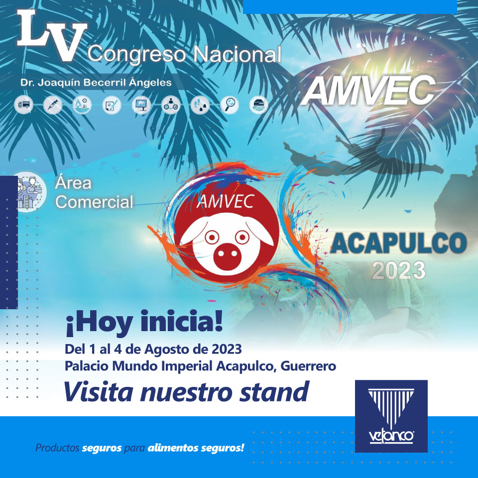 VetancoMexico's tweet photo. ¡Hoy inicia el LV Congrso Nacional AMVEC 2023! Los esperamos en nuestro stand en el área comercial del 1 al 4 de julio, Expo Mundo Imperial Acapulco, Guerrero.

#VetancoMéxico #Vetanco #AMVEC #cerdos #Porcicultura #BVSciences #SomosVetanco https://t.co/GMg6vxVcdy
