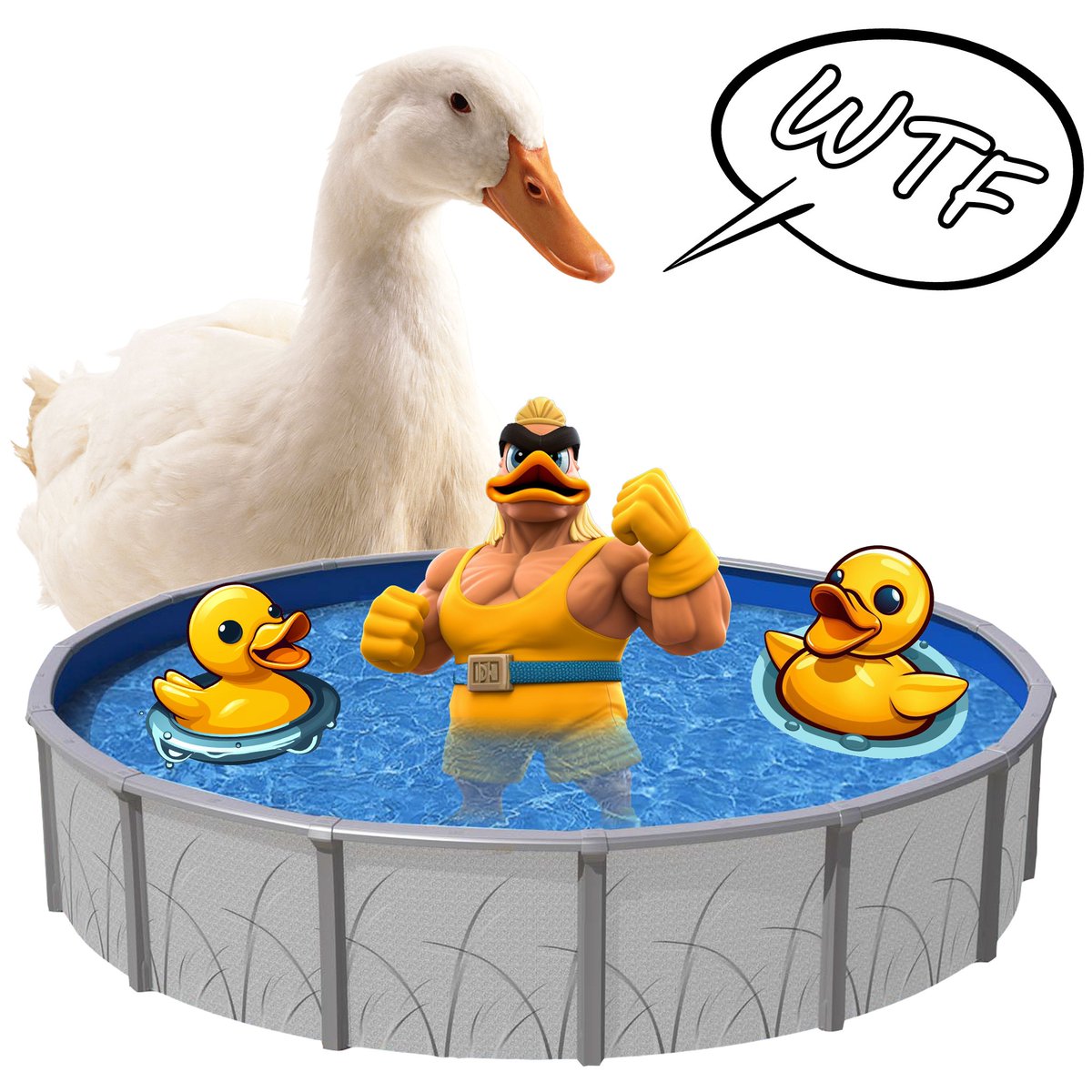 ProQuacka's tweet photo. #QuackToken https://t.co/XghvIjm3Cz