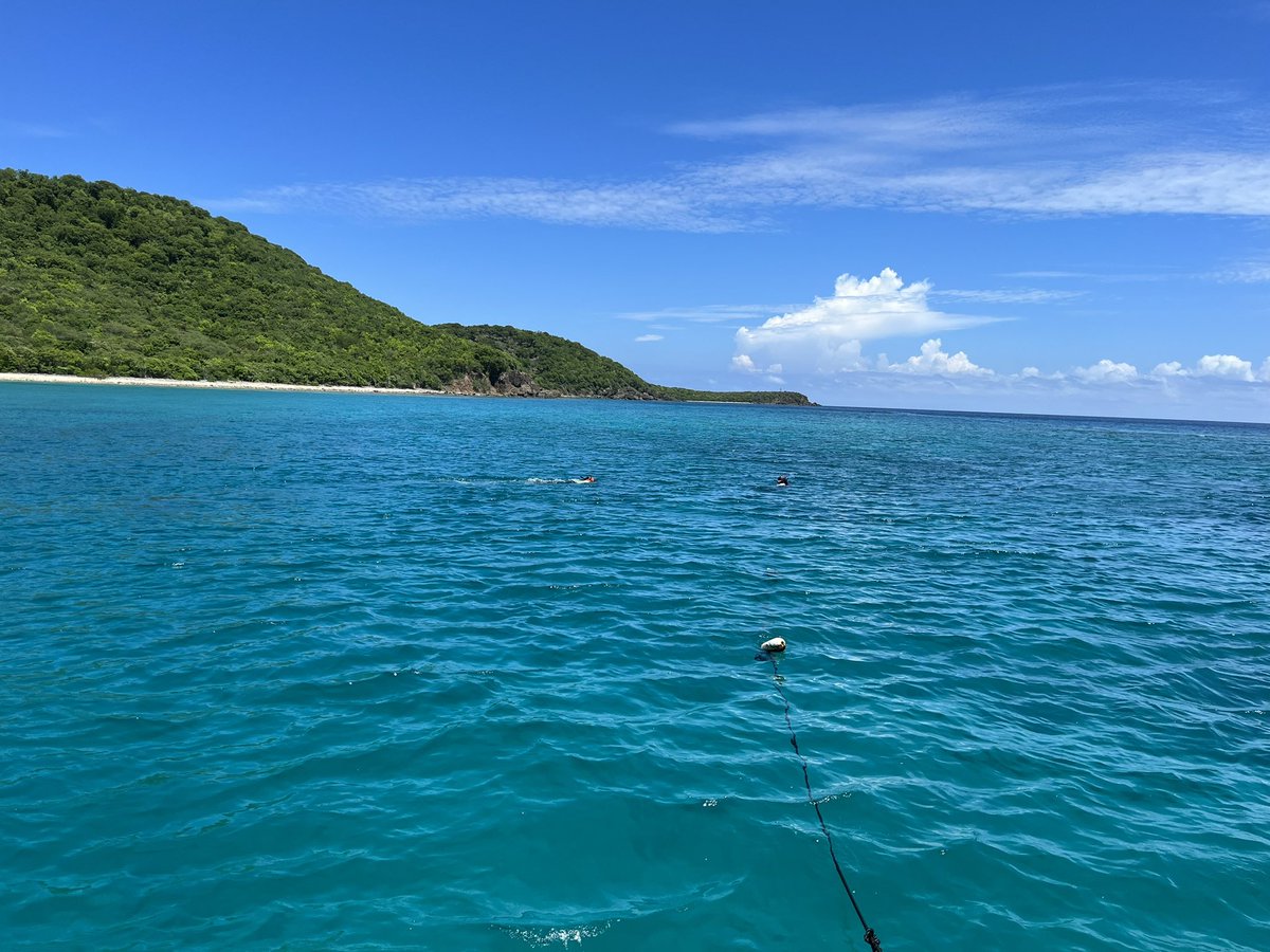 Sampling for our #nsfrapid project studying impact of urchin die-off for Caribbean coral reef ecosystems <a href="/FIUEnvironment/">FIU Institute of Environment</a> <a href="/FIUMarineBio/">FIU Marine Biology</a> #PuertoRico