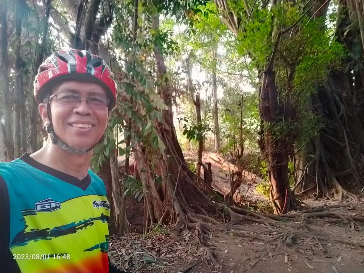 Jembatan Akar Kurahan Kidul Margodadi Seyegan Sleman