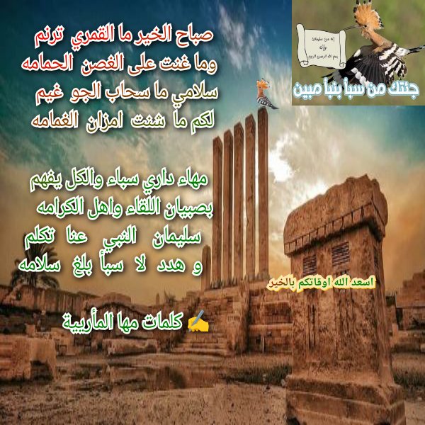 مها المأربية tweet media