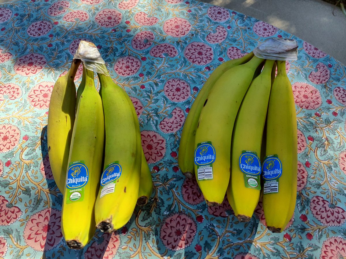 Don Barthel tweet media