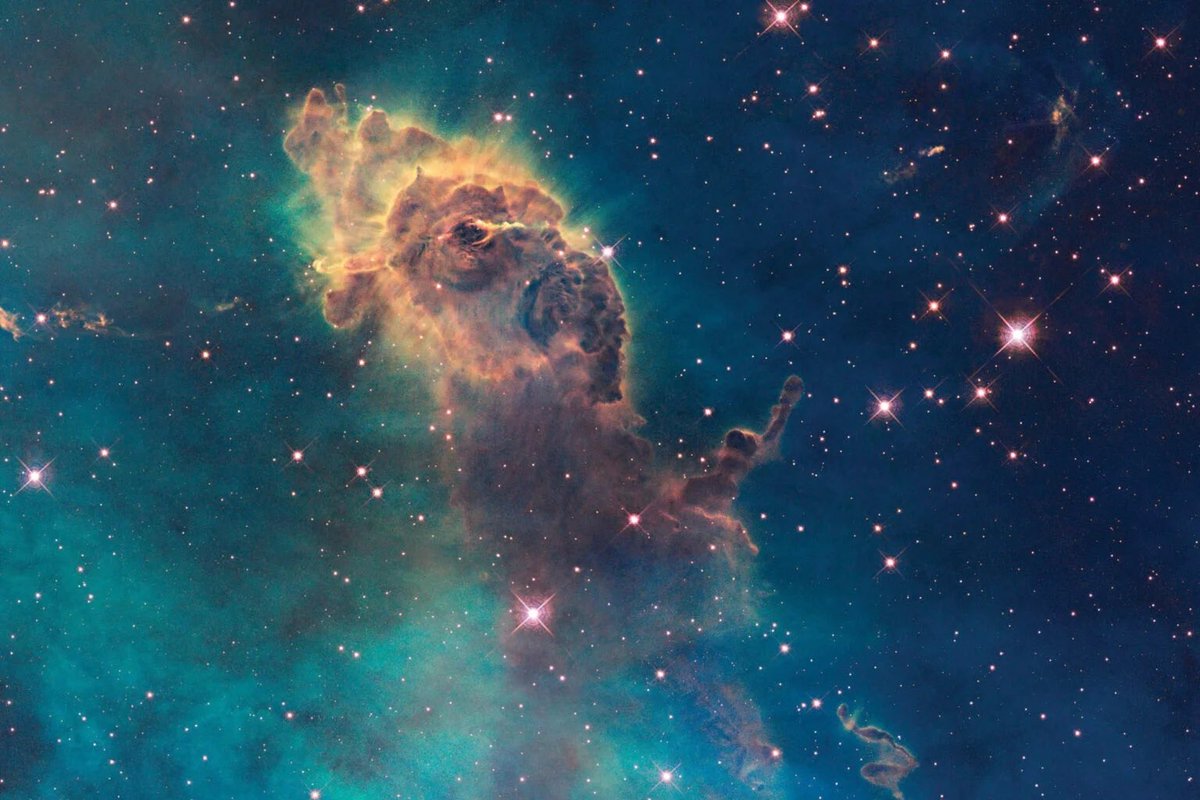 What animal do you see in this image of the Carina Nebula?