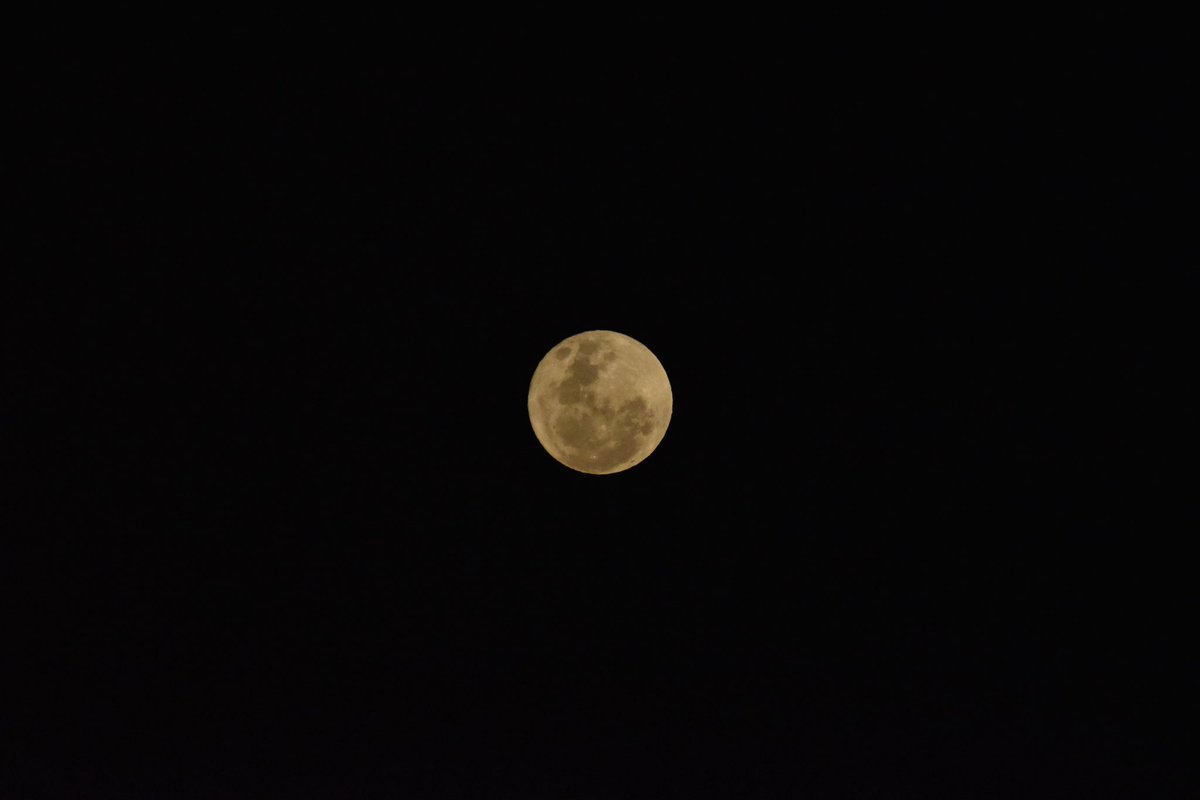 ♒️🌕📸 
Posó para mi 🫶🏽
