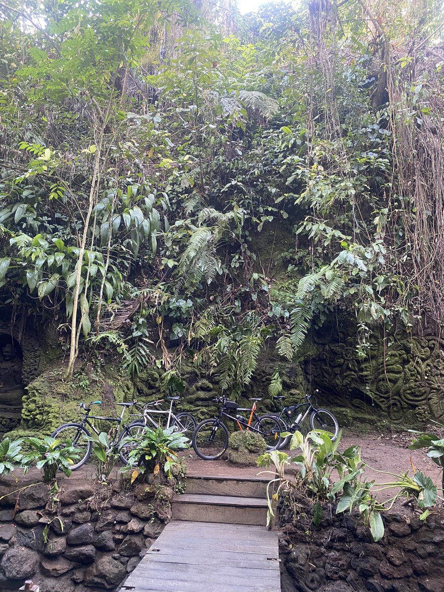 odebws22's tweet photo. SUZUKI salah TREK bersama FEDRAL. https://t.co/3BHLEmwt7F