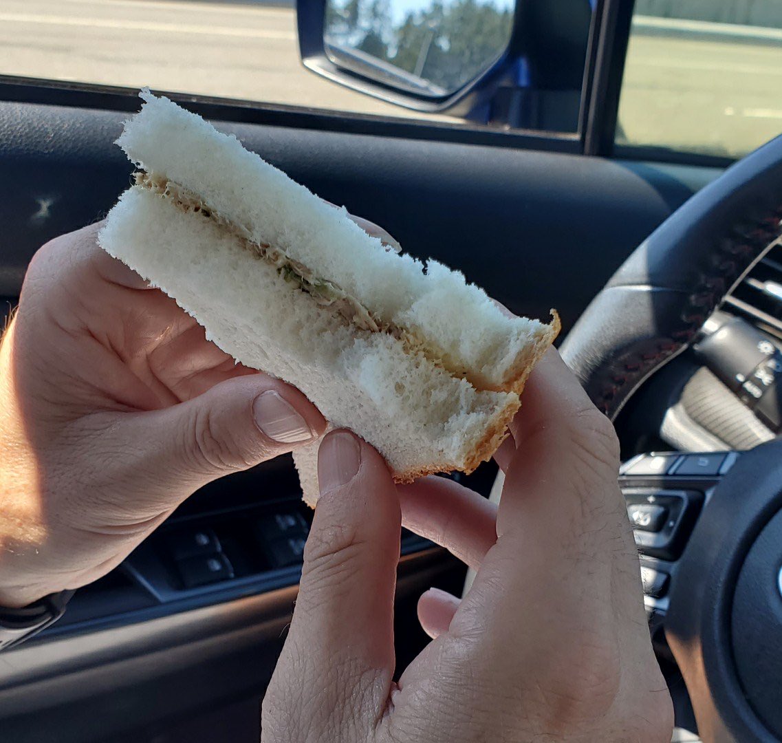 comicsinclass's tweet photo. My $8 tuna fish sandwich from ⁦@BCFerries⁩ #bcferries. https://t.co/qk9OhSzGTR