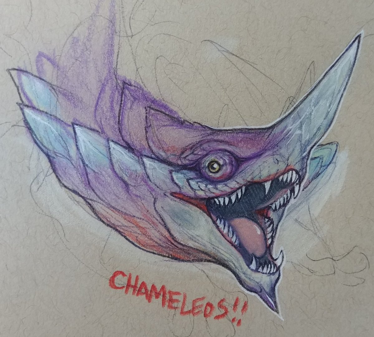 ehlbee's tweet photo. I cannot describe to you how much I love Chameleos https://t.co/cayTjVRWhn