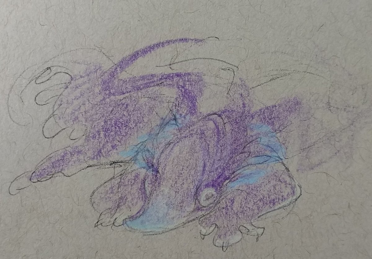 ehlbee's tweet photo. I cannot describe to you how much I love Chameleos https://t.co/cayTjVRWhn