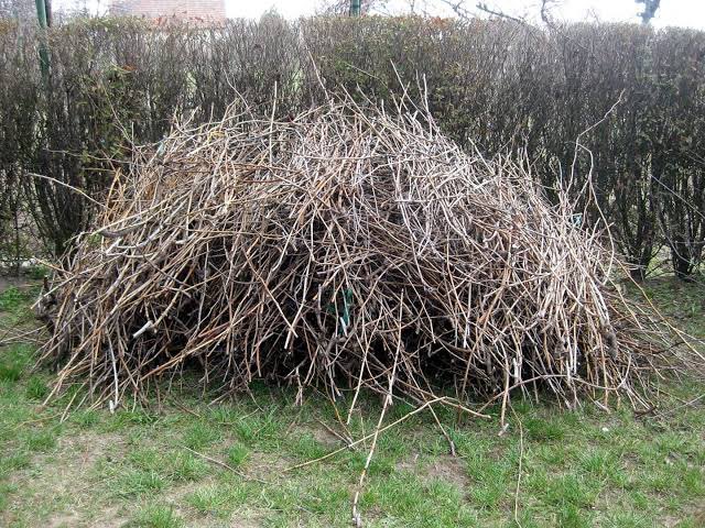 Oh you’re a real deathcore fan? Name this band
