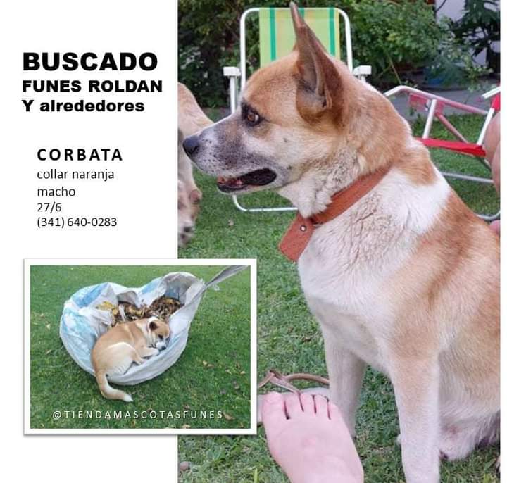 #Roldan #Funes #Rosario 
Buscamos a #CORBATA