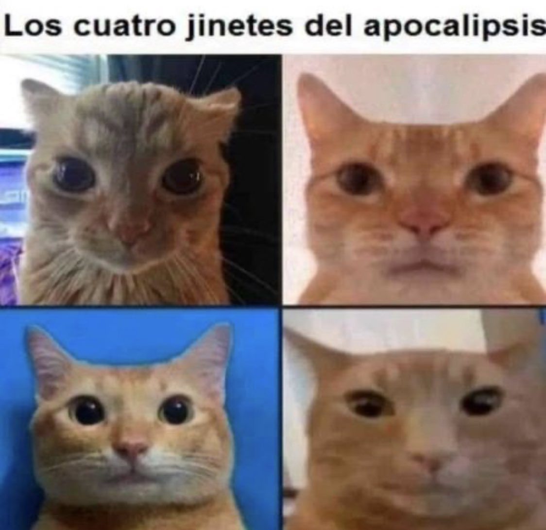 PyzTiago's tweet photo. @th3ma1ky El menos simp https://t.co/hPZ0oCf3Nw