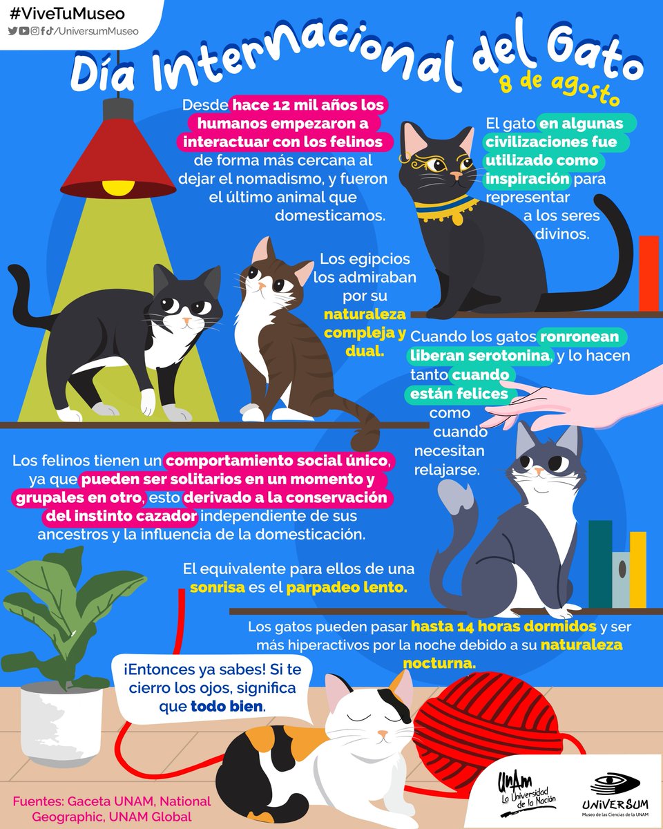#UnDíaComoHoy es el Día Internacional del Gato 🐈🥳
¿Amas a los michis? Aquí hay más razones para que ese sentimiento crezca 🐱😻
#ViveTuMuseo 😎