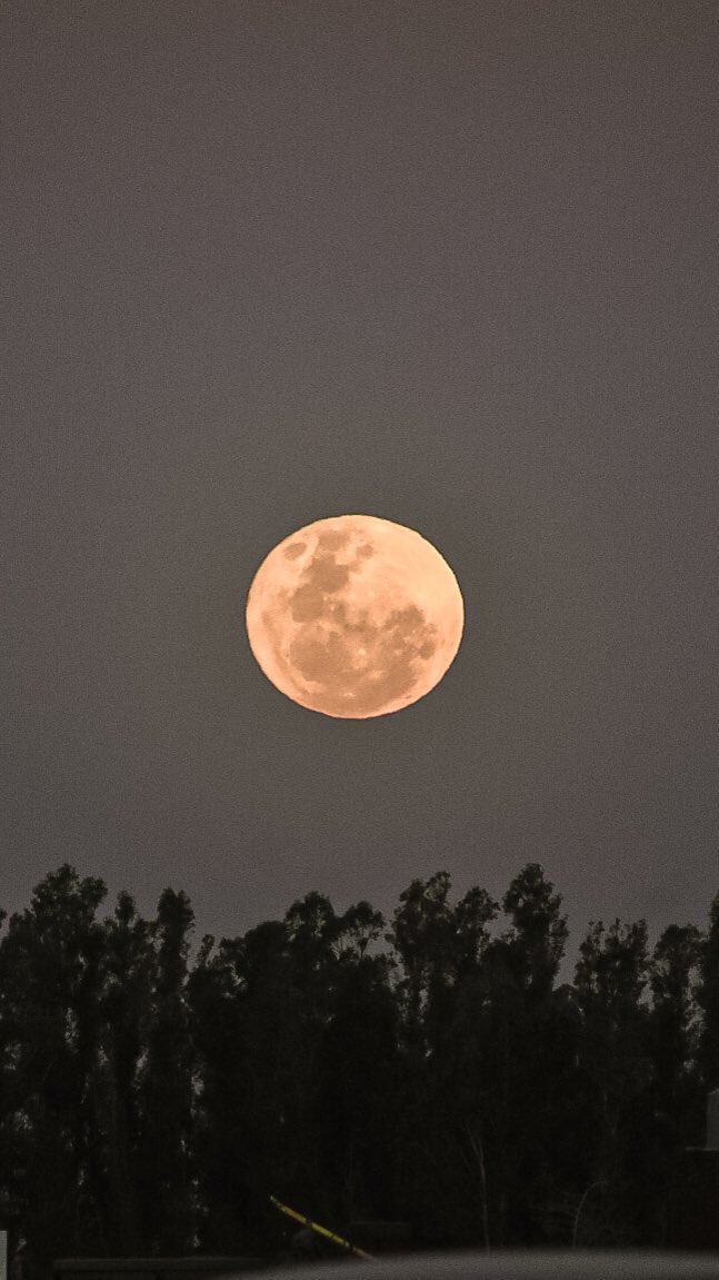 Luna Llena un 1 de Agosto🫶🏽