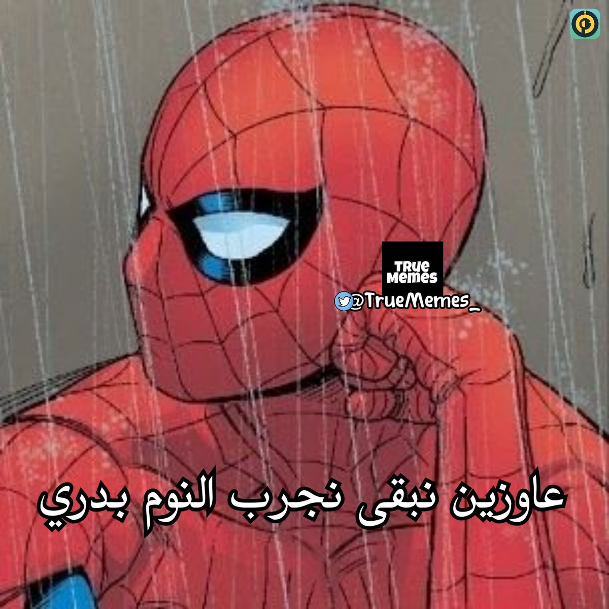 True Memes (@truememes_) on Twitter photo 