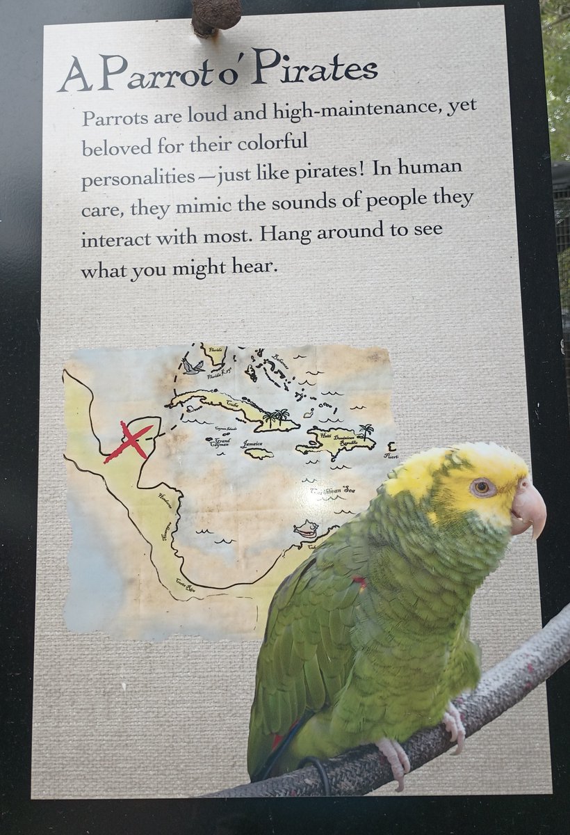 StaySmooth tweet media