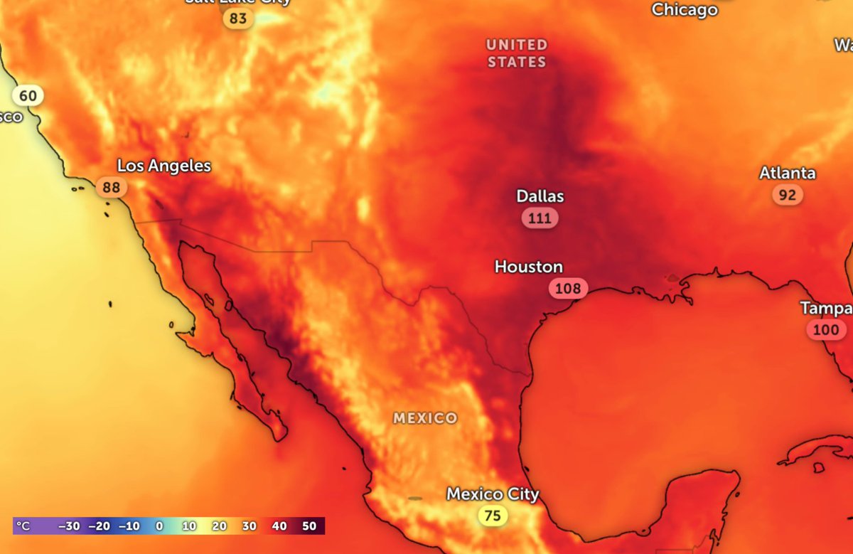 Peter Dynes tweet media