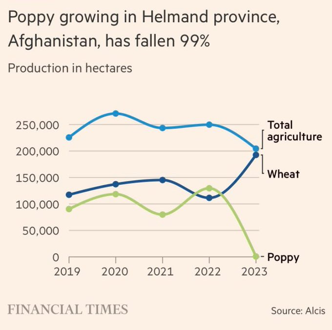 'There has been a 99% fall in poppy production in Afghanistan’s Helmand Province, according to new satellite analysis by geospatial company Alcis. The region previously grew more than half of the country’s opium.'