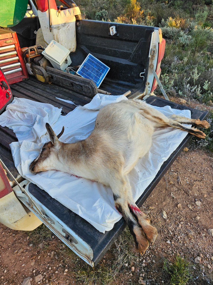 Leighton Wilksch tweet media