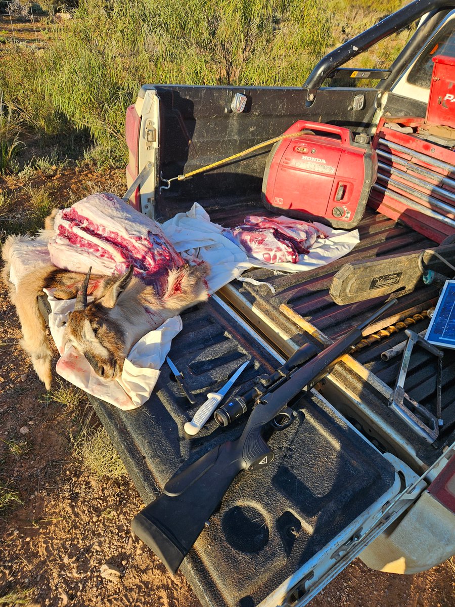 Leighton Wilksch tweet media