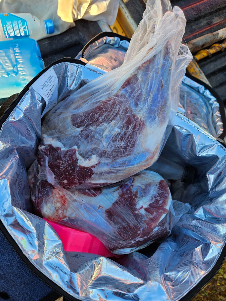 Leighton Wilksch tweet media