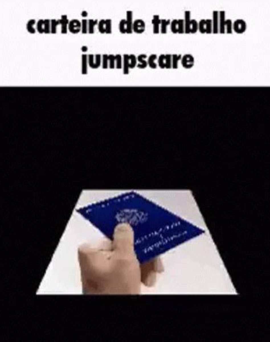 três guaxinins num sobretudo tweet media