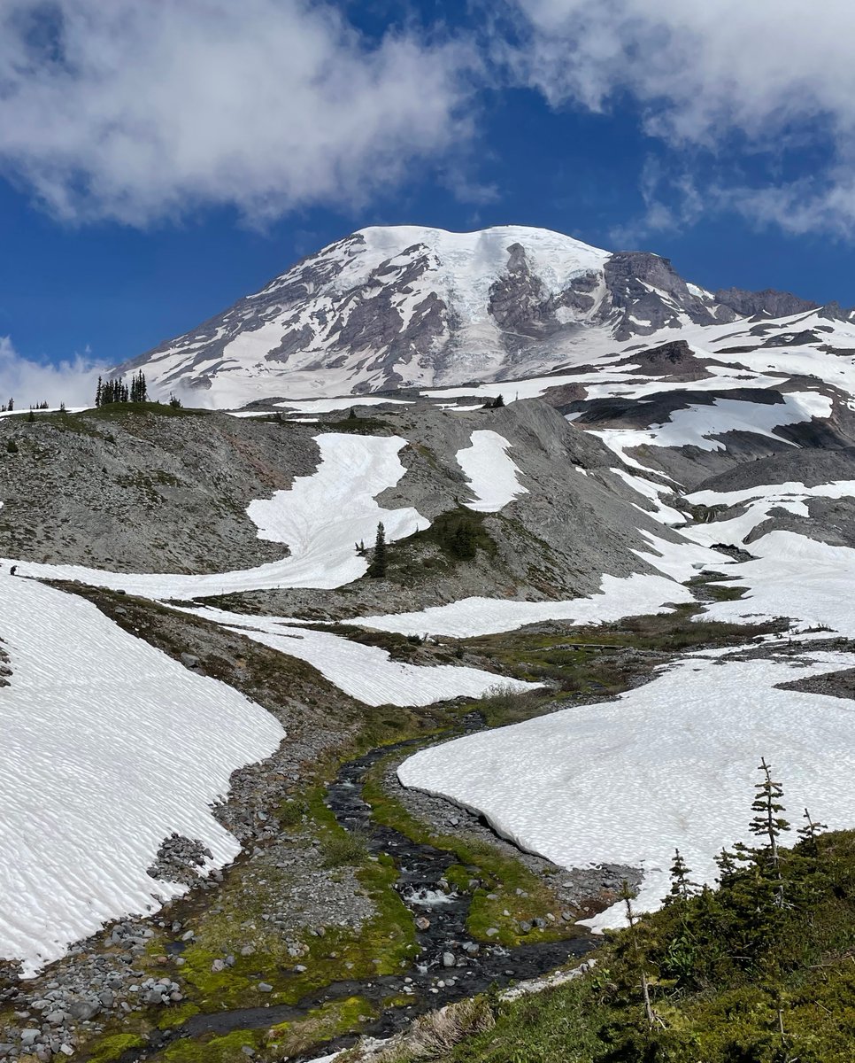 DiscoverRainier's tweet photo. Do you know how Mount Rainier got its name? 👀 Comment below! ⤵️ https://t.co/KkadV2JDQW