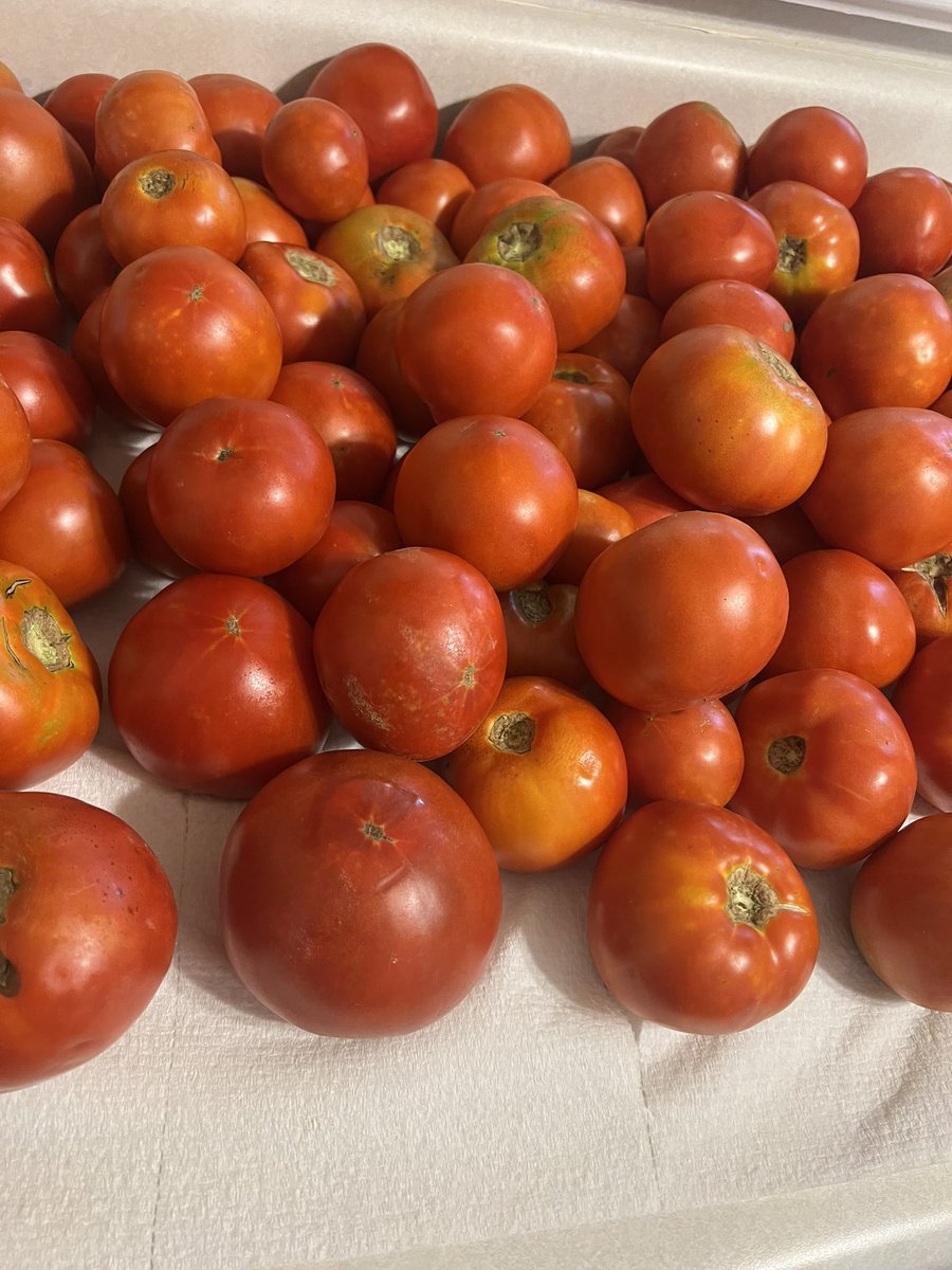 VictoriaPavon98's tweet photo. Did some canning/cooking with mom today! We turned our tomatoes into spaghetti sauce! 🍝
#SCEsummerfunbingo https://t.co/NN7v4tiHSl