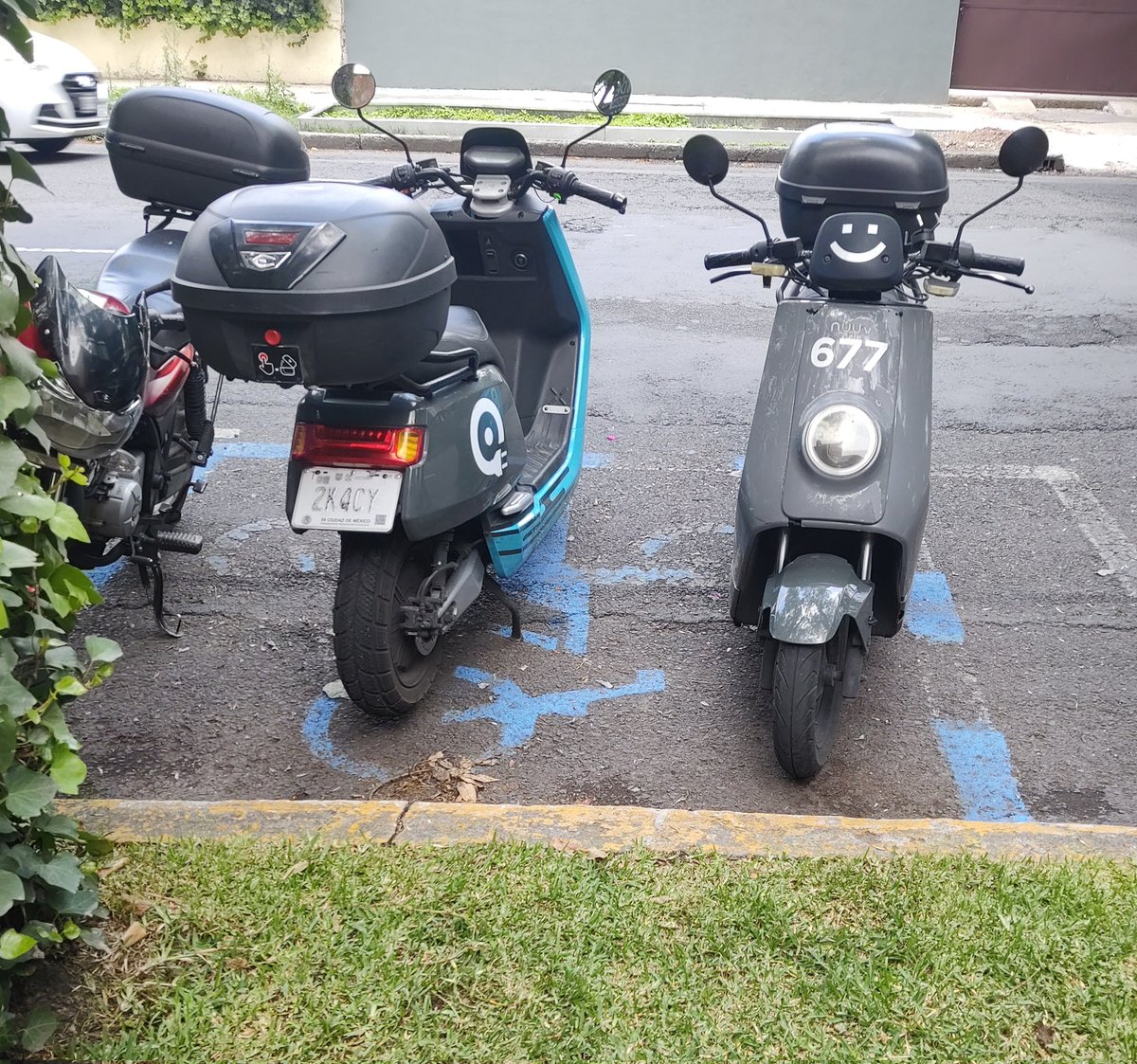 Diego Reyes tweet media