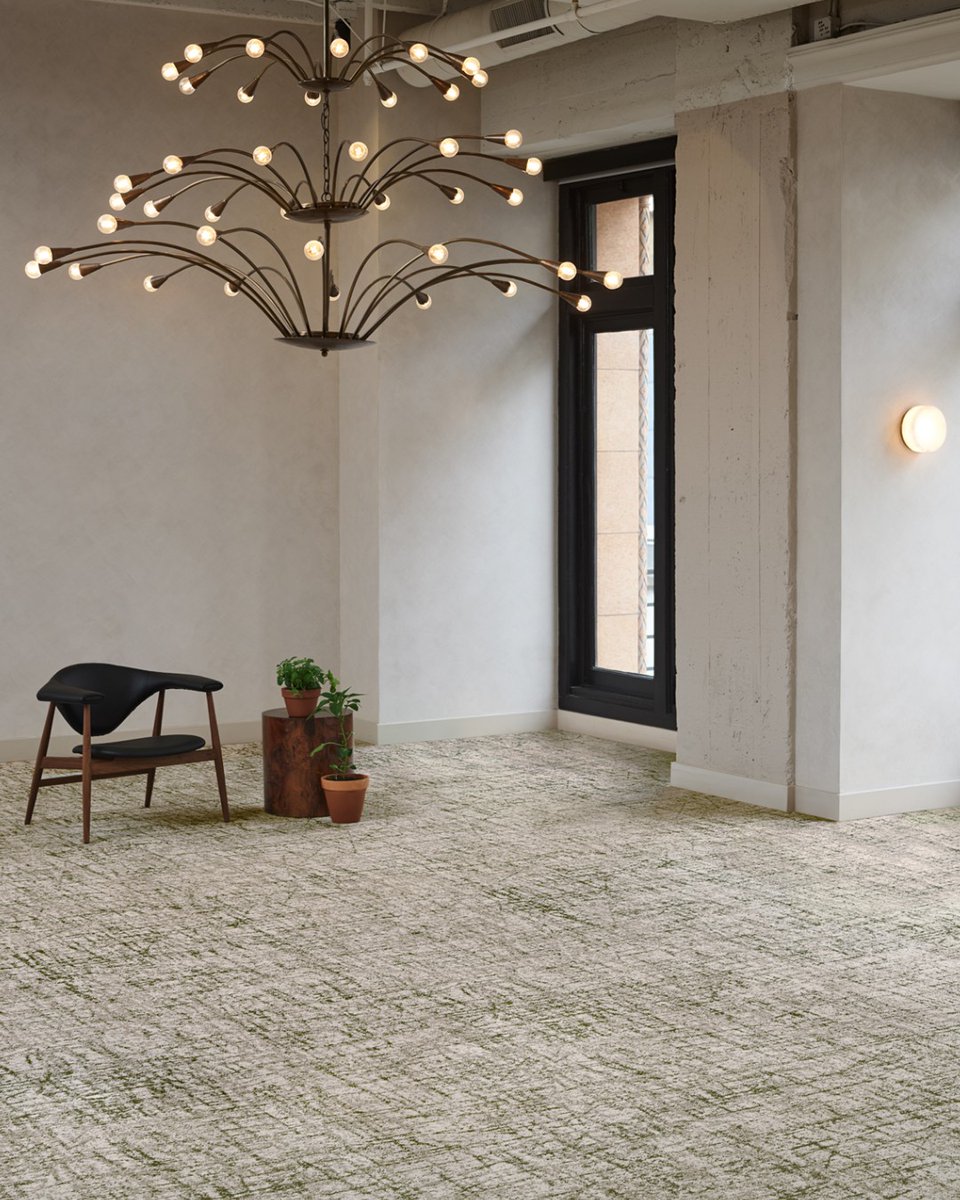 HeritageCarpets's tweet photo. On the Block is the 2nd of 3 designs in the Culinary Collection by Bentley. Inspired by marks of the chef's knife on a wooden chopping block, the contrasting colours in the tufted, textured loop is gorgeous without being overwhelming. Love the deep green, berry reds &amp; blues. https://t.co/MwDIFnePZT