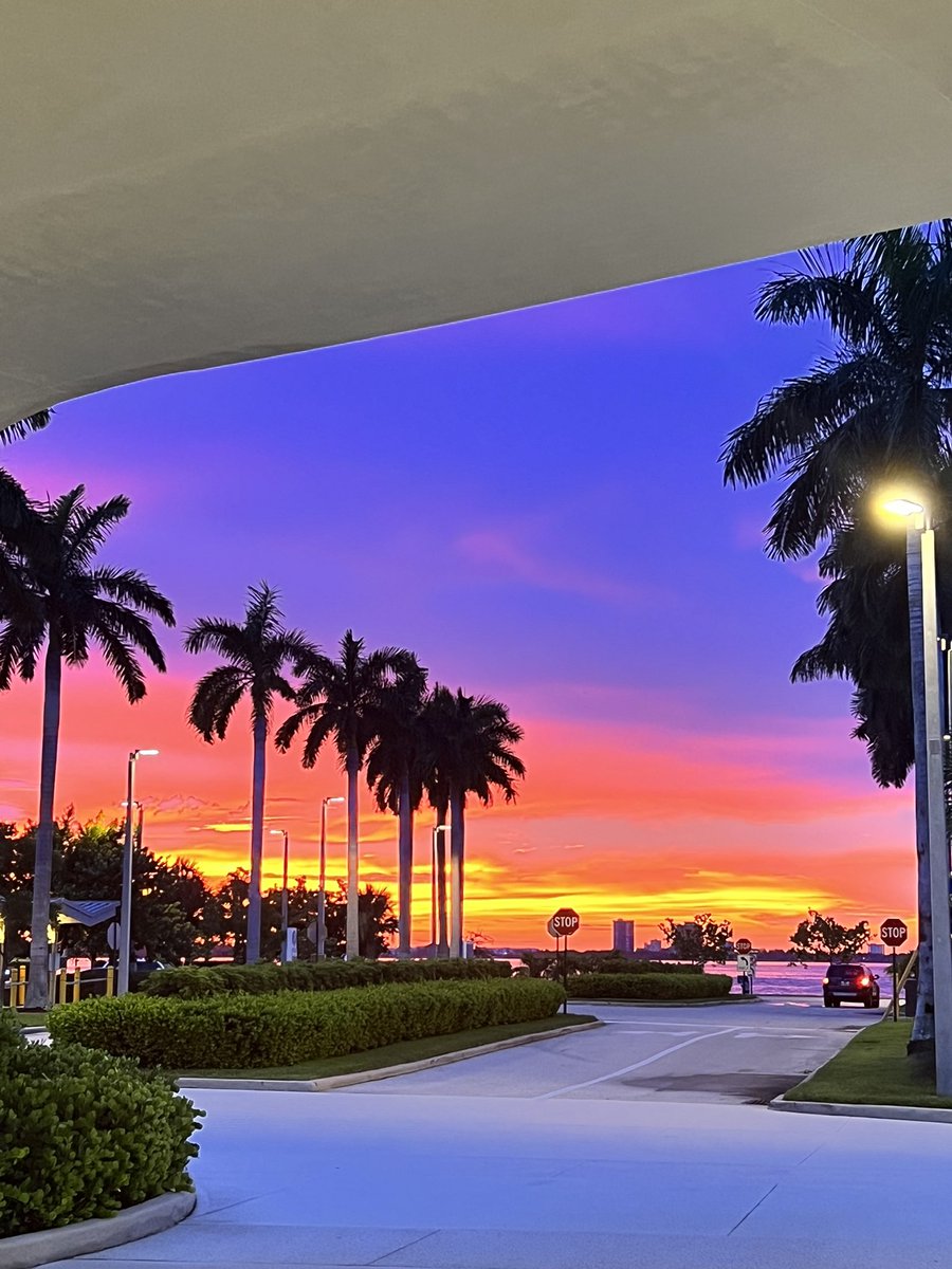 Nicole Matluck, MD, MS (@n_matluck) on Twitter photo Enjoying some night float sunset views at <a href="/MSMC_Miami_Uro/">Mount Sinai Miami Beach Urology</a> 🌅🌴
#urologyresidency <a href="/Uro_Res/">The Urology Applicant ⚕</a> Enjoying some night float sunset views at <a href="/MSMC_Miami_Uro/">Mount Sinai Miami Beach Urology</a> 🌅🌴
#urologyresidency <a href="/Uro_Res/">The Urology Applicant ⚕</a>