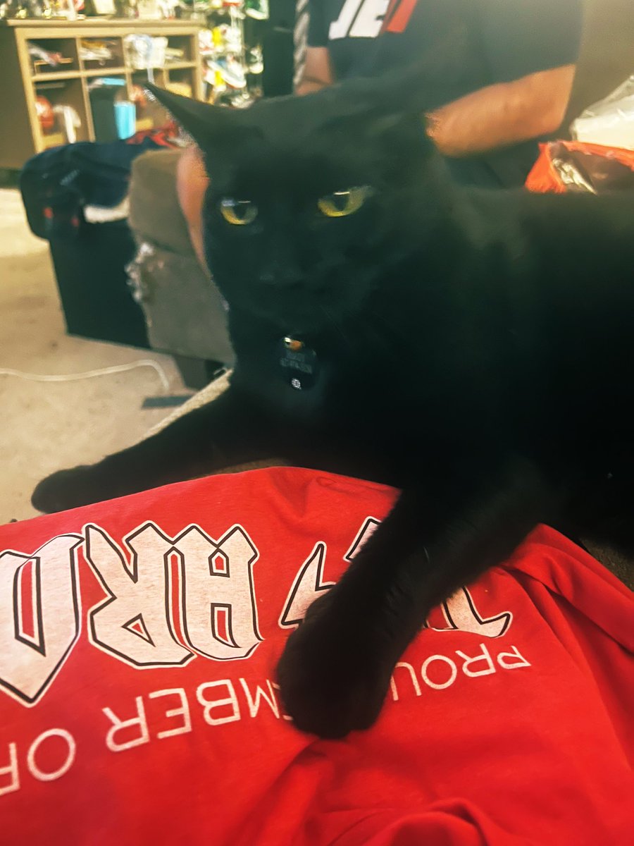 smars319's tweet photo. The newest member of TC’s Army - Bergy!!! @AddictSox @TomCaron #soxaddict #tcsarmy #redsox #bergy https://t.co/LGrwV3Hdta