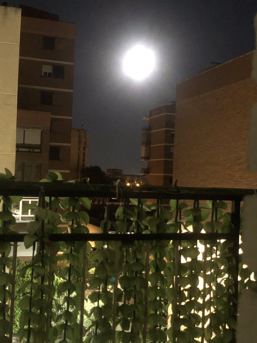 MiguelHBO's tweet photo. La luna llena o plenilunio es una fase lunar que sucede cuando nuestro planeta se encuentra situado entre el Sol y la Luna, casi alineados. En ese momento, el ángulo de elongación o de fase del satélite es de 180° y la iluminación es del 100 %. #Superluna https://t.co/Qprd39tAsg