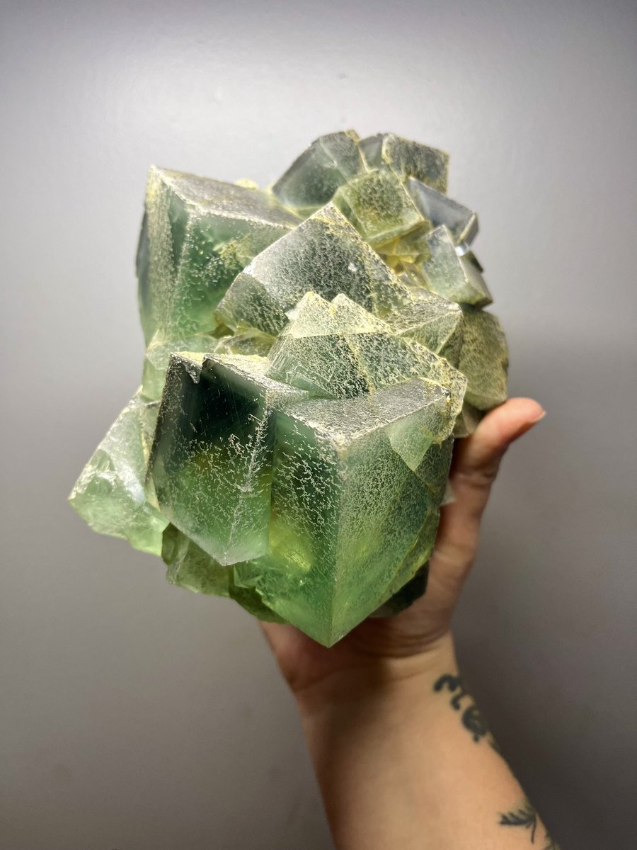 Happy to be back!
XL Cubic fluorite floater from Xianghualing. Has dendritic etchings all over🥹 
Available for collection! DM me✨
#fluorite #crystal #mineral #crystalcommunity #x #mineraldealer #crystaldealer