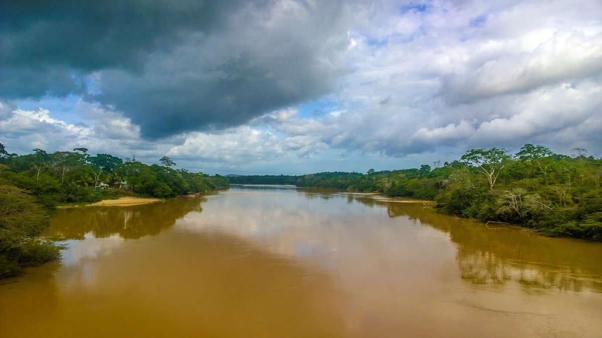 31BrigadaLC's tweet photo. La #FANB permanecerá en constante vigilancia y patrullaje al cuidado de la biodiversidad del territorio. https://t.co/q4vi67HOCy