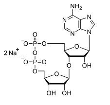 Just learned that the glyco-cyclic ADPR immune signaling molecules we discovered,  2’ cADPR and 3’ cADPR, are available as purified products at Biolog: biolog.de/news#news20230… 

Very useful for researchers studying immune signaling in bacteria and plants