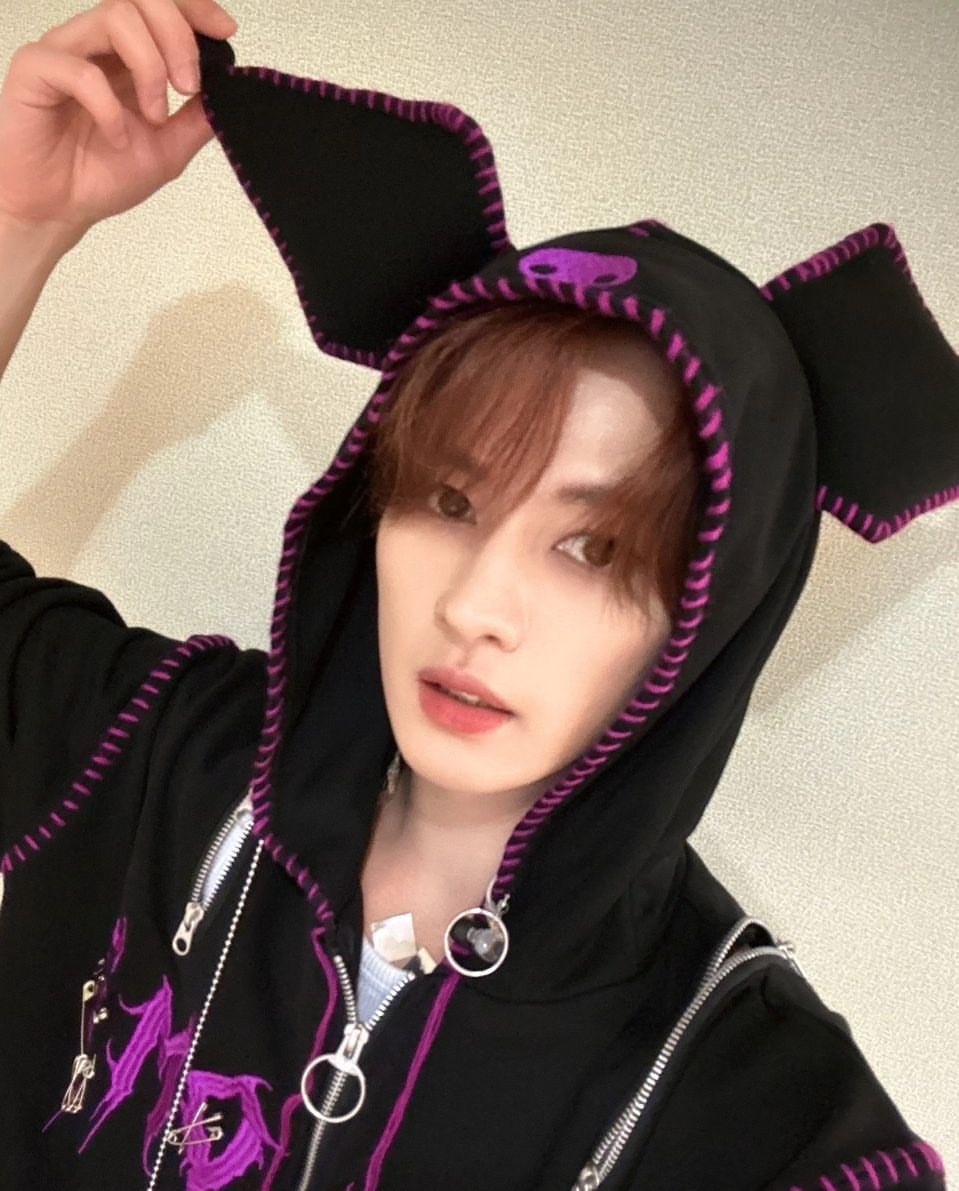 smolsungies's tweet photo. LEEKNOW ON REALSTRAYKIDS IG

🐰 "this place is mine now kkilkkilkkil"

LMFAOOOOO https://t.co/JVChzTqHfP