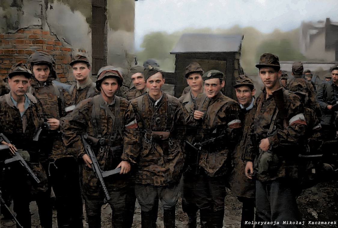 Patrick Fox tweet media