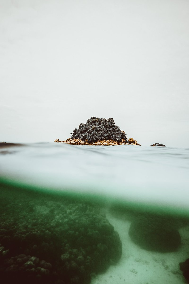 Ⓜ️ICHÆL🥤🌐 • 📷’er📍42°N | Emergence Edition x 20 tweet media