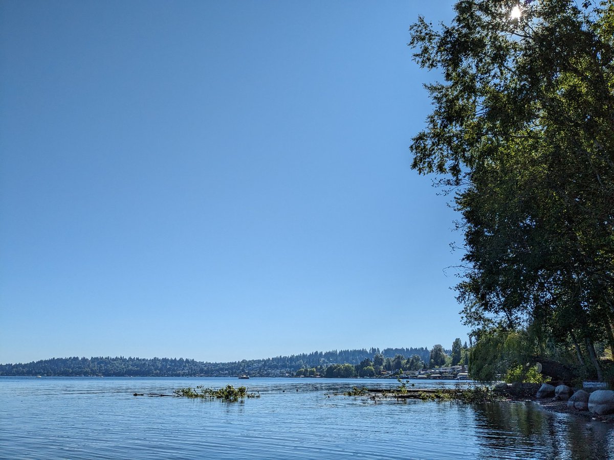 Lake Washington on a sunny day.