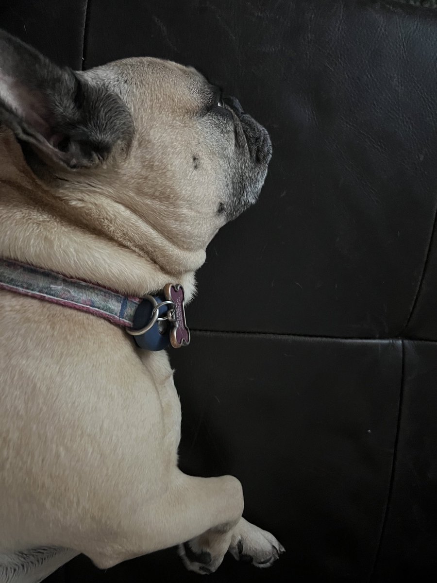 stellabfrenchie's tweet photo. I need a massage and a nap https://t.co/fzytPDGDOH