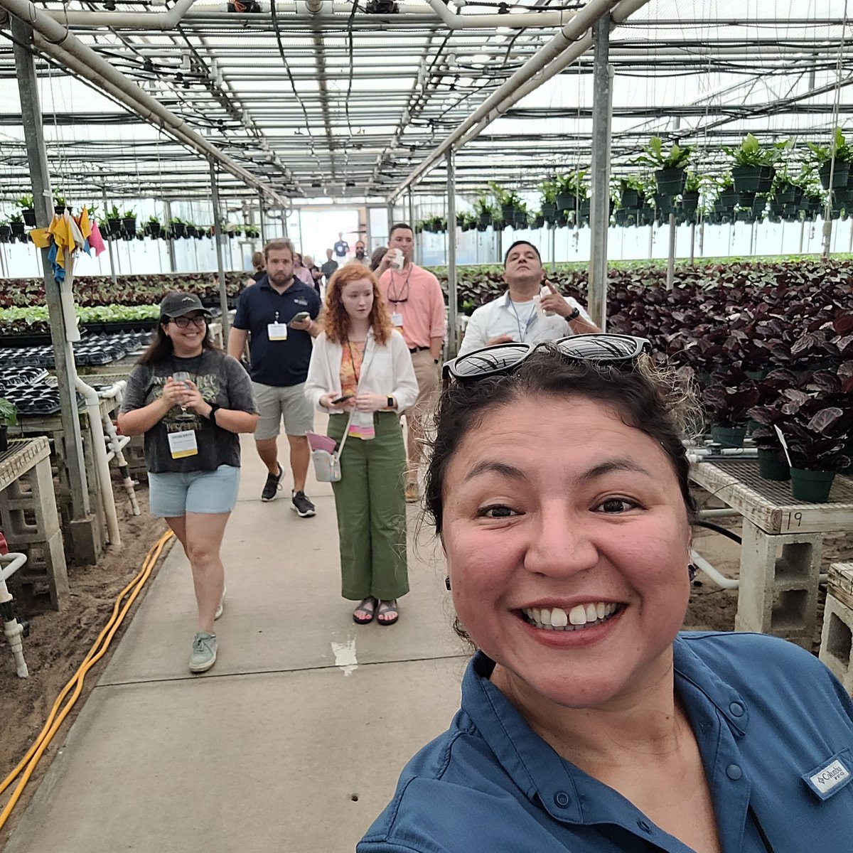 Vanessa Vassilaros tweet media